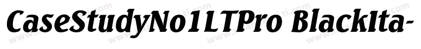 CaseStudyNo1LTPro BlackIta字体转换